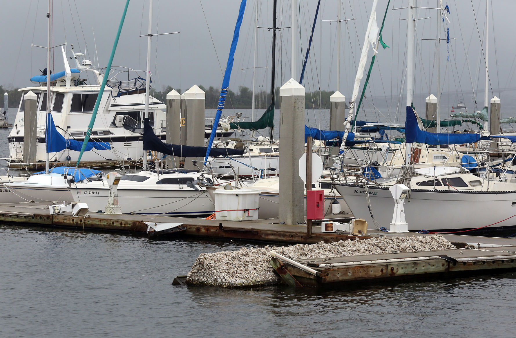 Cooper River Marina (copy)